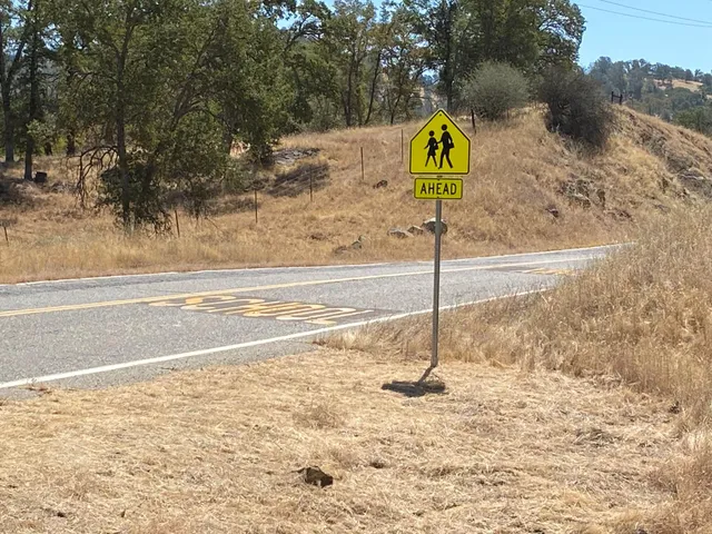 an aerial view of a house a yard and garden