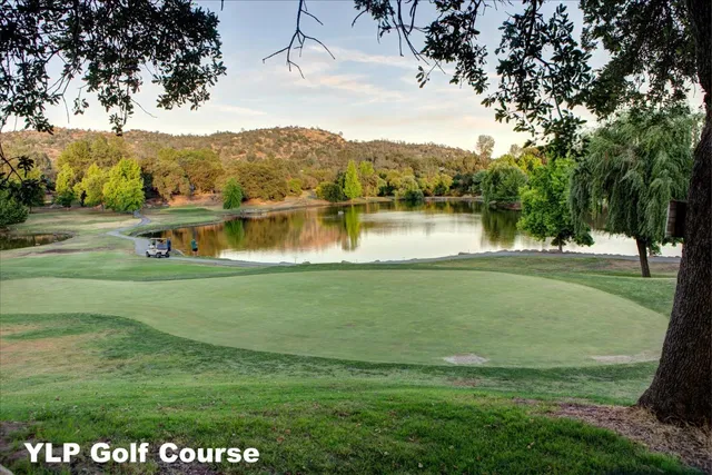 a view of a bench and iron fence
