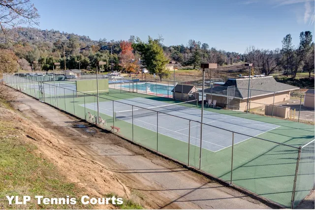 a front view of a house with a yard and potted plants