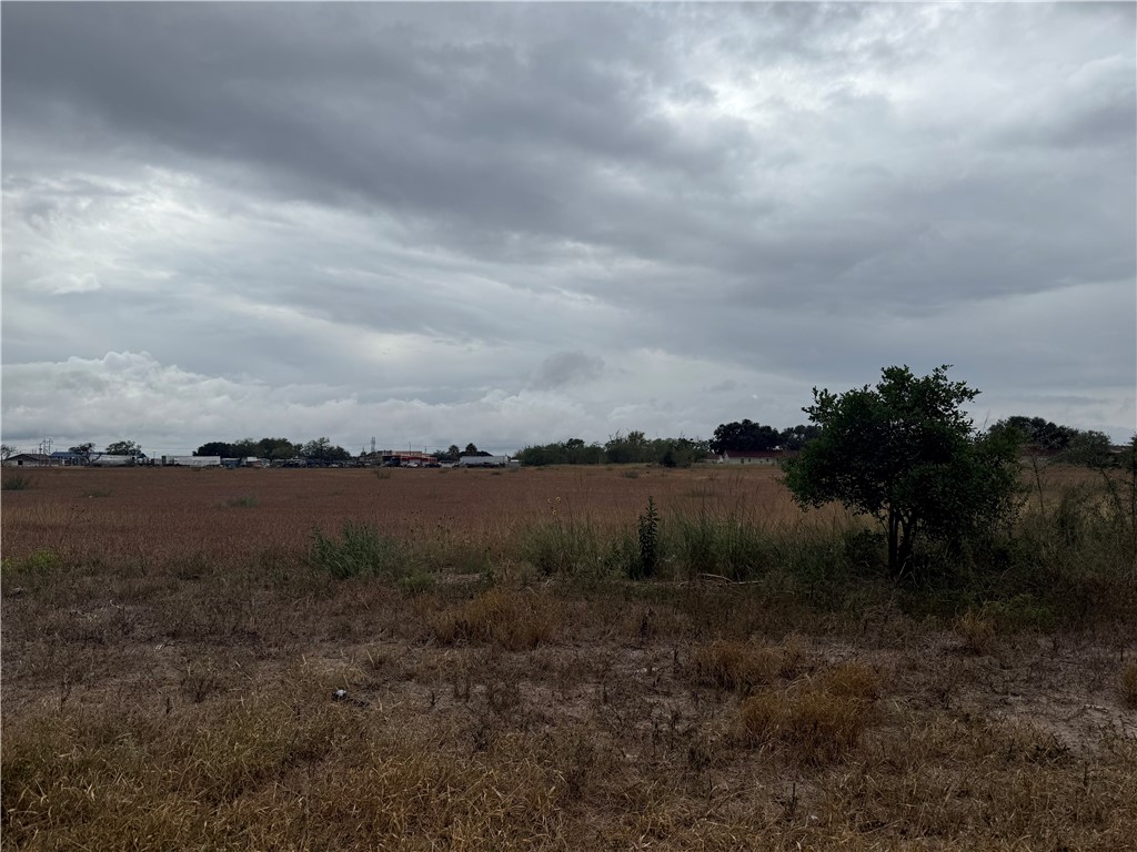 2003 South Cameron Street Alice, TX 78332 - Photo 4 of 7 a view of lake with green space