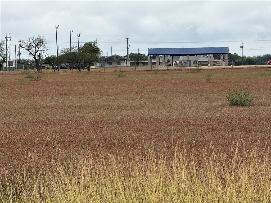 2003 South Cameron Street Alice, TX 78332 - Photo 5 of 7 a view of a water and a mountain view