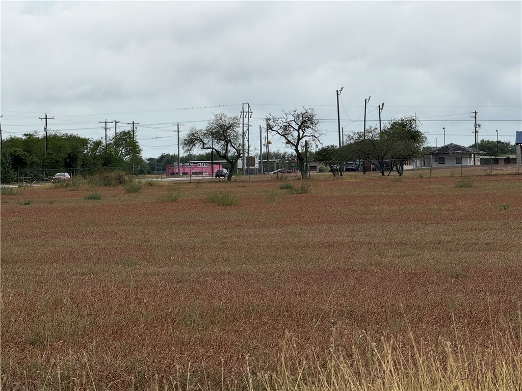 2003 South Cameron Street Alice, TX 78332 - Photo 6 of 7