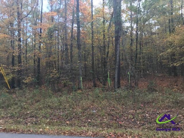 Tract-8 Lower Simmons Road Macon, GA 31220 - Photo 12 of 13