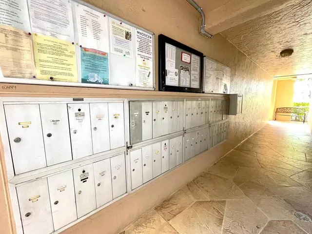 a view of a yard with palm trees