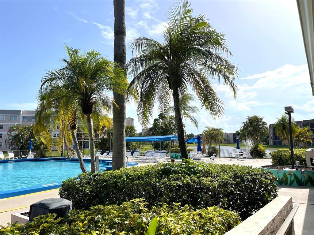 10444 Northwest 30th Court, Unit 409 Sunrise, FL 33322 - Photo 26 of 28 a view of a yard with palm trees
