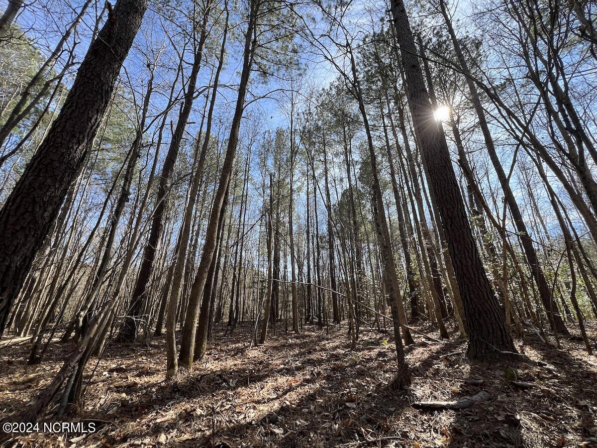 657 Collins Mill Road Castalia, NC 27816 - Photo 111 of 148 IMG_3490