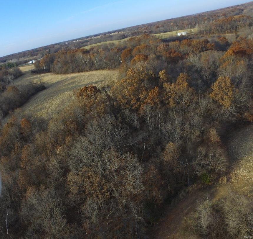 110 Terpening Road Brighton, IL 62012 - Photo 11 of 21