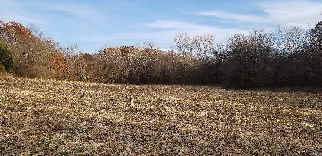 110 Terpening Road Brighton, IL 62012 - Photo 14 of 21