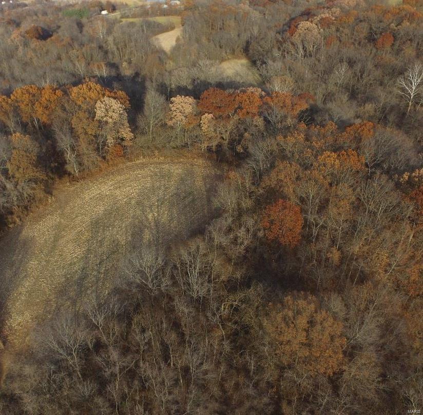 110 Terpening Road Brighton, IL 62012 - Photo 15 of 21