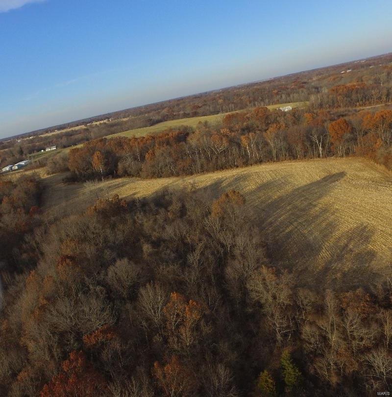 110 Terpening Road Brighton, IL 62012 - Photo 16 of 21