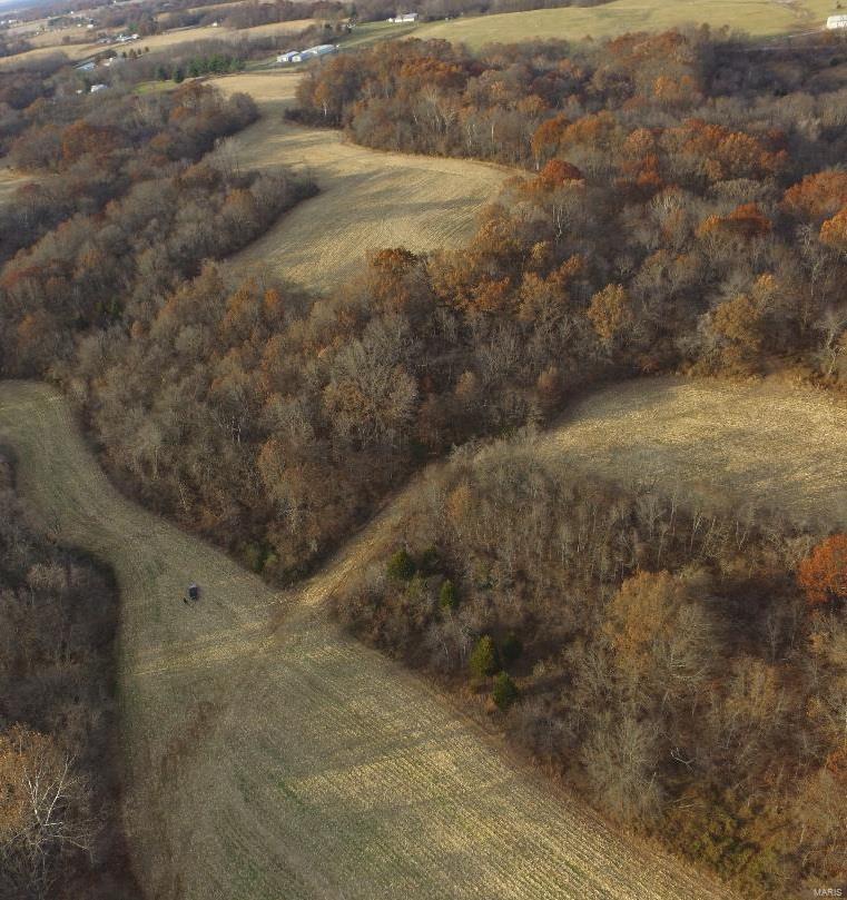 110 Terpening Road Brighton, IL 62012 - Photo 17 of 21