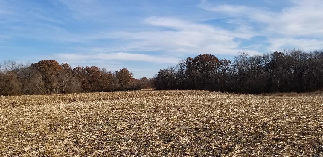 110 Terpening Road Brighton, IL 62012 - Photo 20 of 21