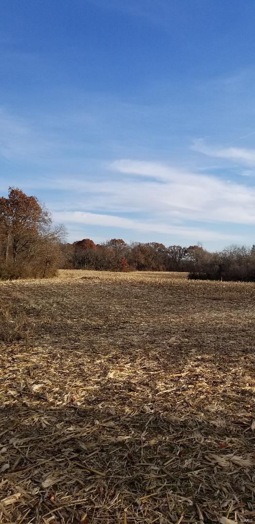 110 Terpening Road Brighton, IL 62012 - Photo 21 of 21