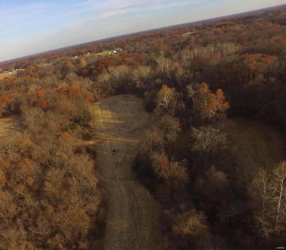 110 Terpening Road Brighton, IL 62012 - Photo 10 of 21