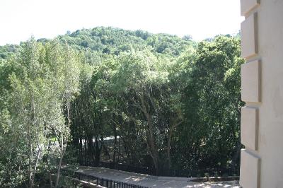 2560 Vineyard Road Novato, CA 94947 - Photo 6 of 7 a view of a forest with trees in front of it