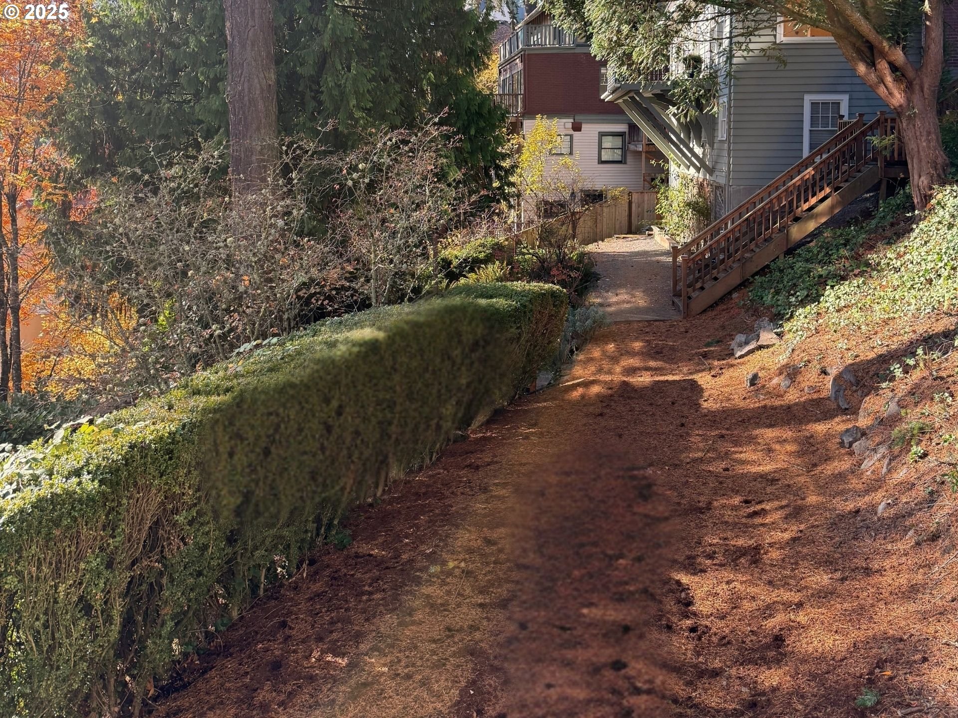 2917 Southwest Fairview Boulevard Portland, OR 97205 - Photo 24 of 25 a view of a house with a yard