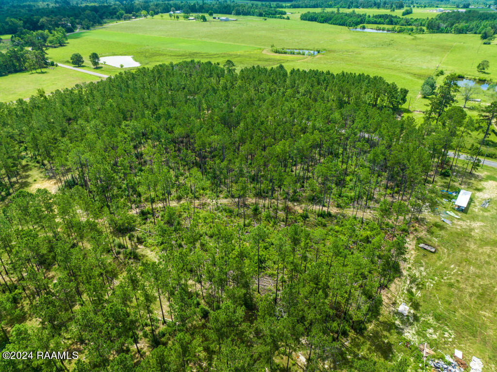 0 Horace Johnson Road Pitkin, LA 70656 - Photo 18 of 23 17