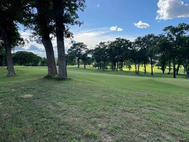 a view of grassy field with benches