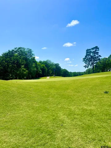 a view of an ocean and a yard