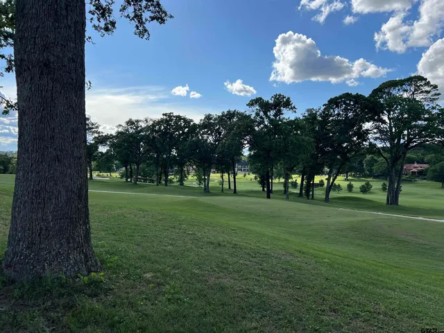 a view of a green field