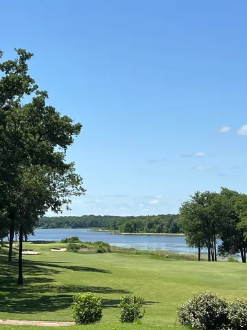 a view of a big yard with a large trees