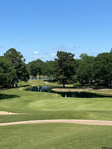 a view of a swimming pool with a yard