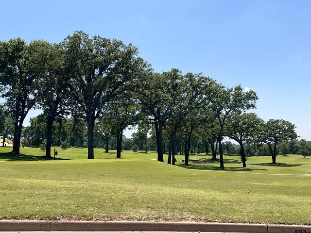 a huge green field with lots of trees