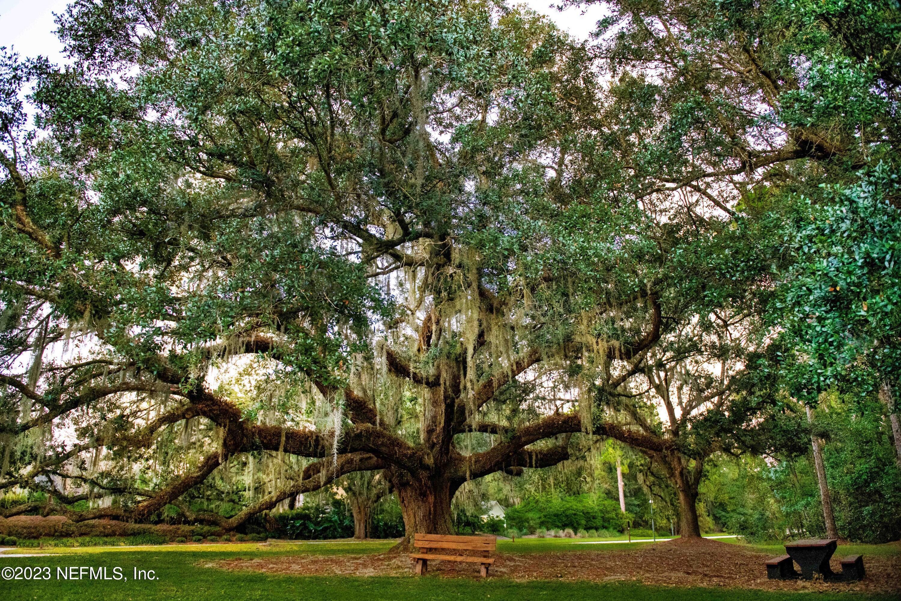 965 Registry Boulevard, Unit 204 St. Augustine, FL 32092 - Photo 61 of 66 K&B Beautiful Trees
