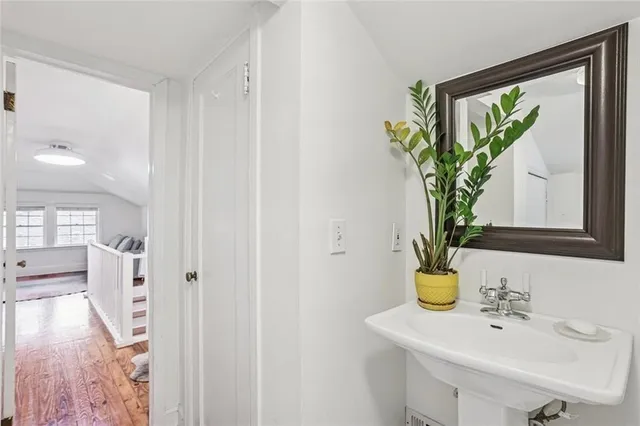 a view of bathroom with a potted plant on the counter and mirror