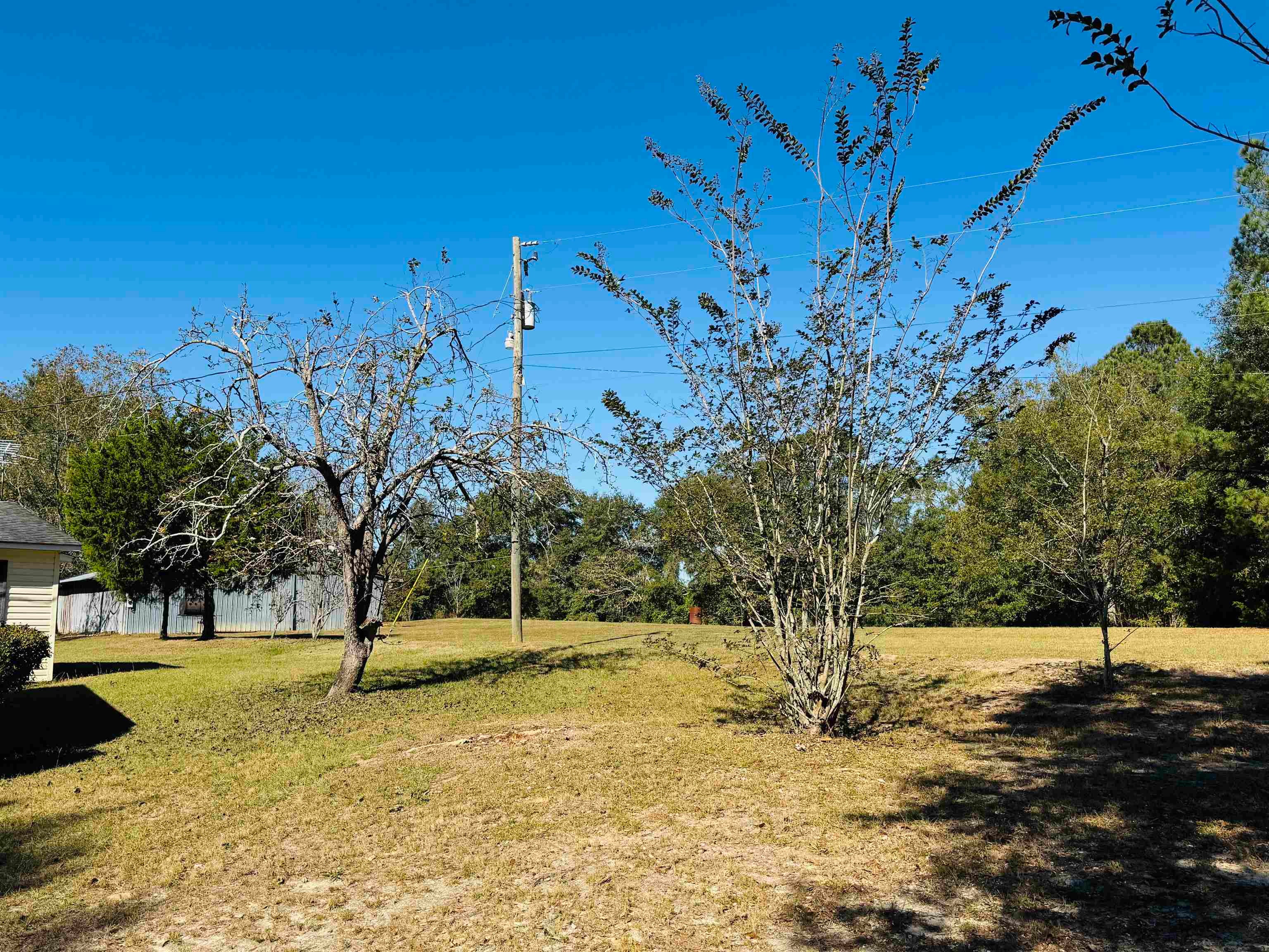 23109 Fleeta Road Opp, AL 36467 - Photo 9 of 32 Gallery Image 9