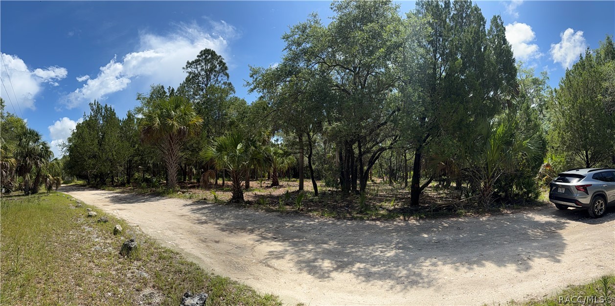 11345 North Moonlight Terrace Inglis, FL 34449 - Photo 1 of 11