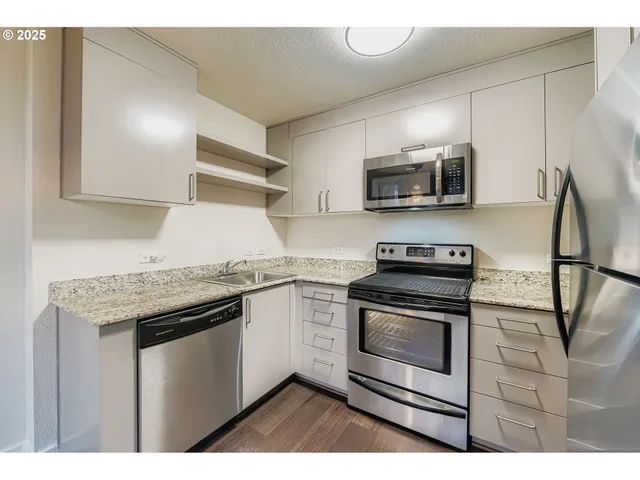 a kitchen with stainless steel appliances granite countertop a refrigerator a stove top oven a sink and dishwasher