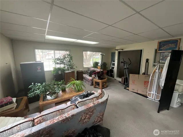 a living room with furniture and a potted plant