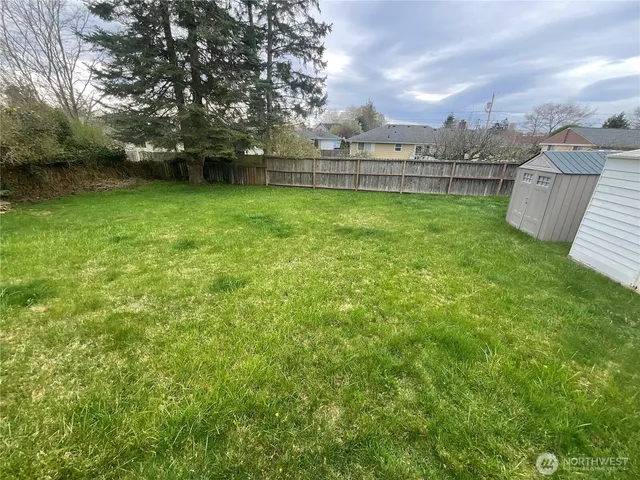 a view of a garden with a large trees