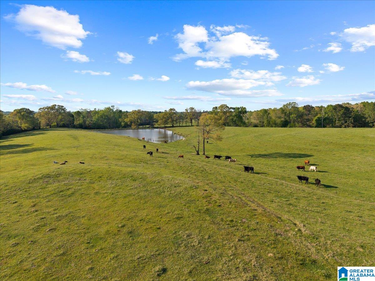 1347 Hamm Road Blountsville, AL 35031 - Photo 13 of 39