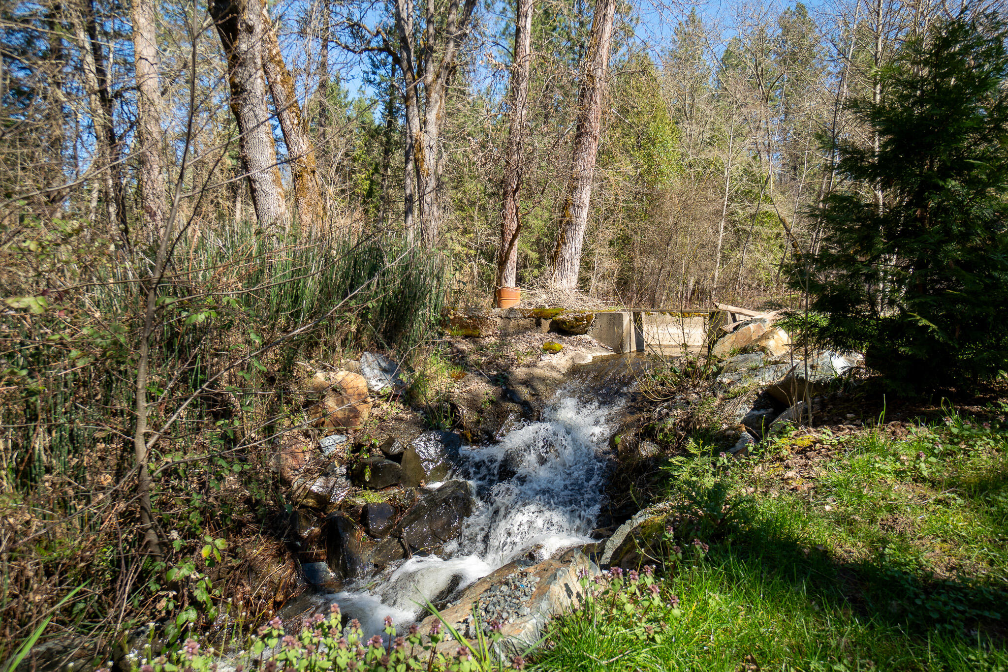 5976 New Hope Road Grants Pass, OR 97527 - Photo 16 of 76 DSC03073-HDR