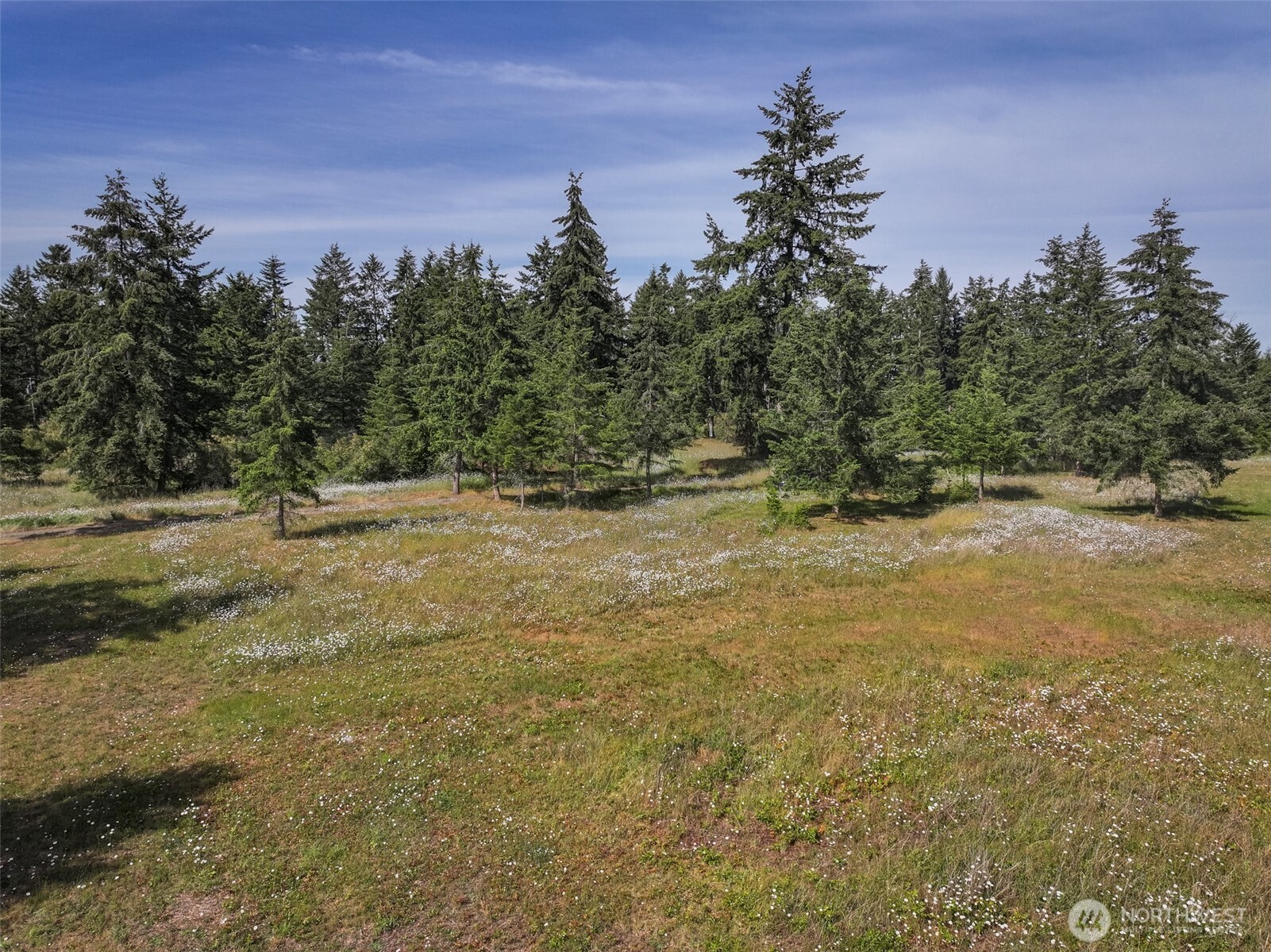 405 Riverside Road, Unit LOT C Sequim, WA 98382 - Photo 3 of 39