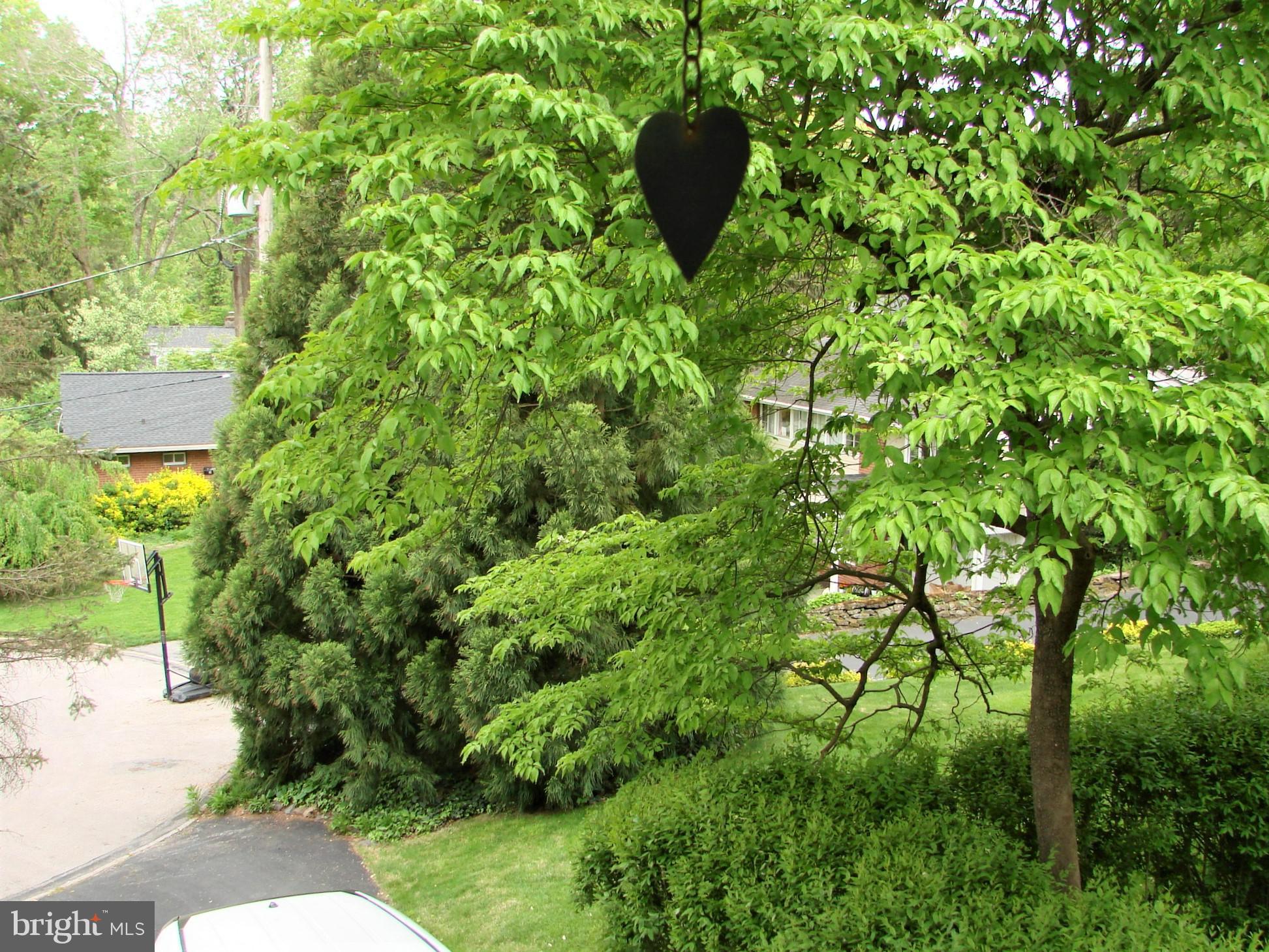 4 Brookside Circle Wayne, PA 19087 - Photo 12 of 25 View from the Balcony