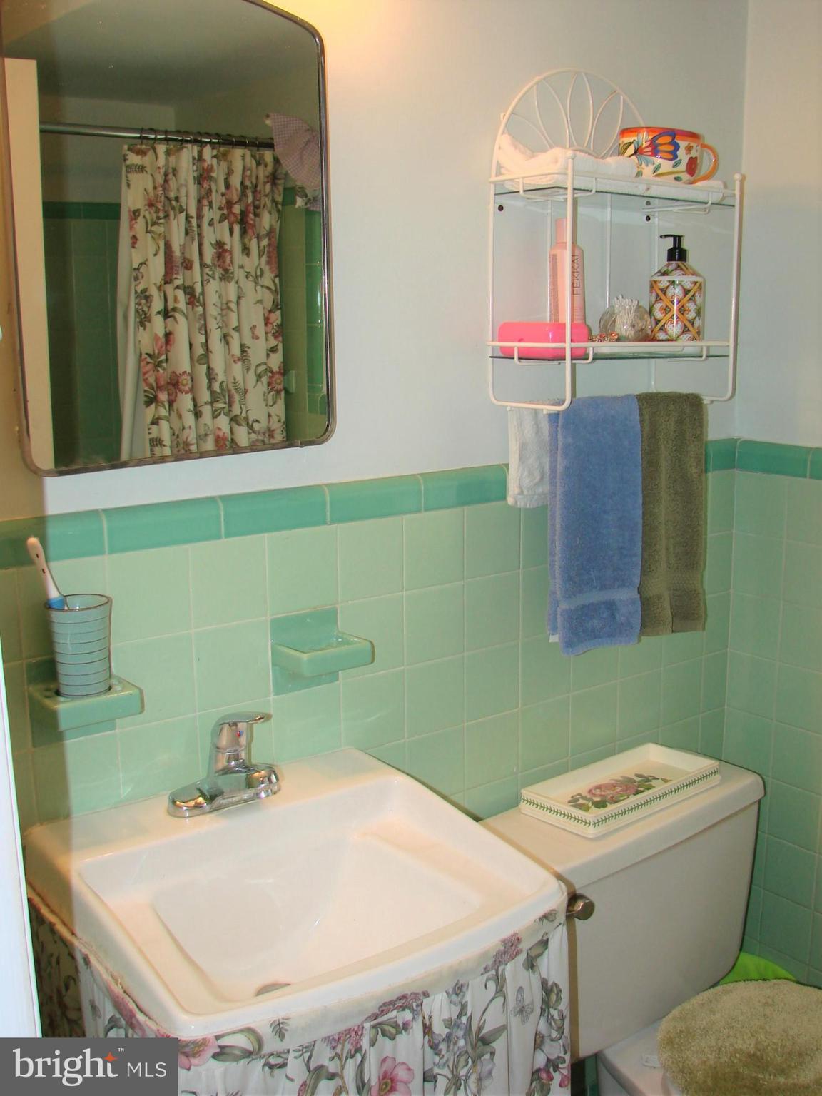 4 Brookside Circle Wayne, PA 19087 - Photo 21 of 25 Hall bath with tub shower