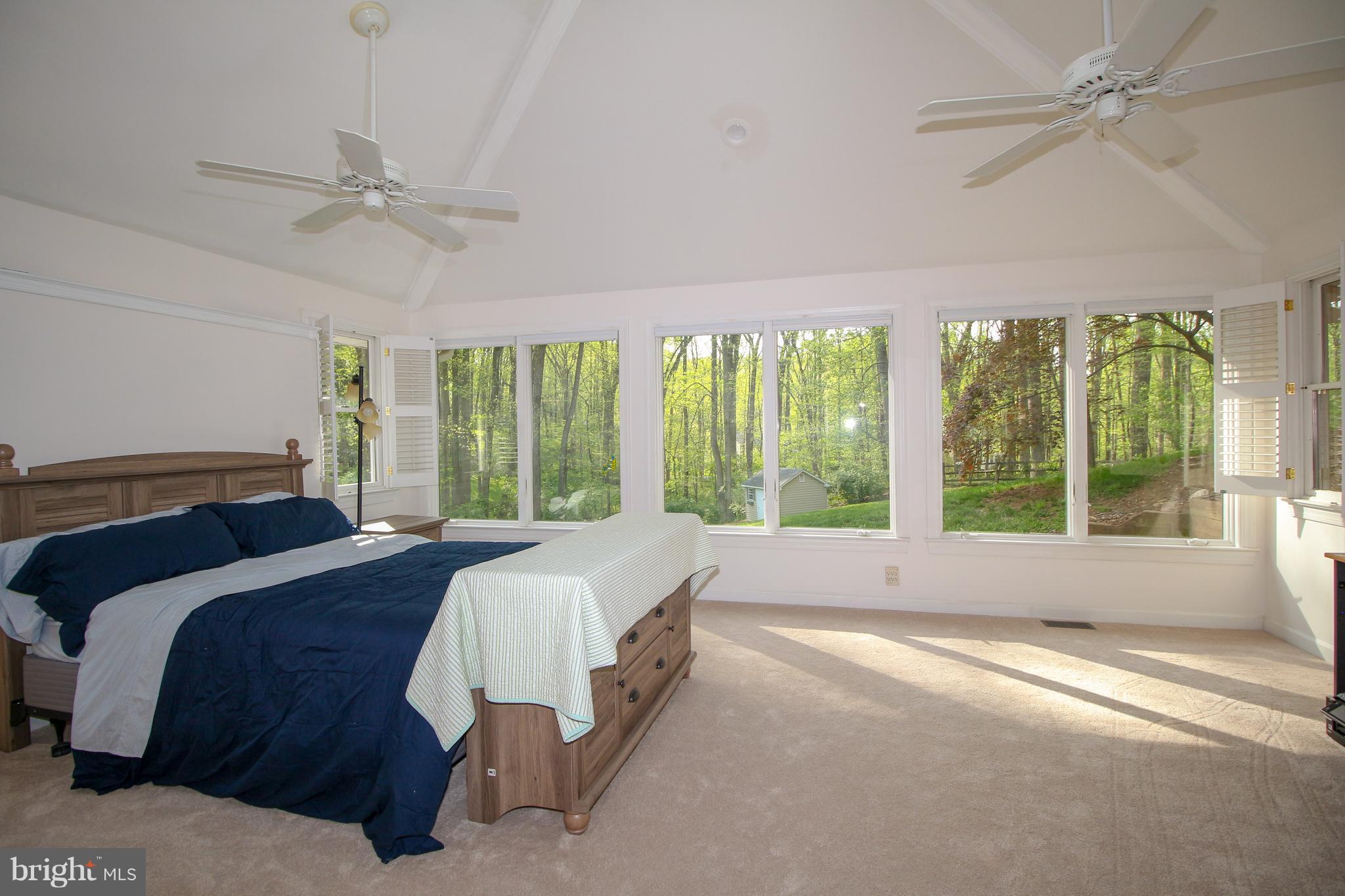 2038 Carrhill Road Vienna, VA 22181 - Photo 14 of 29 Master Suite with natural light and skylight