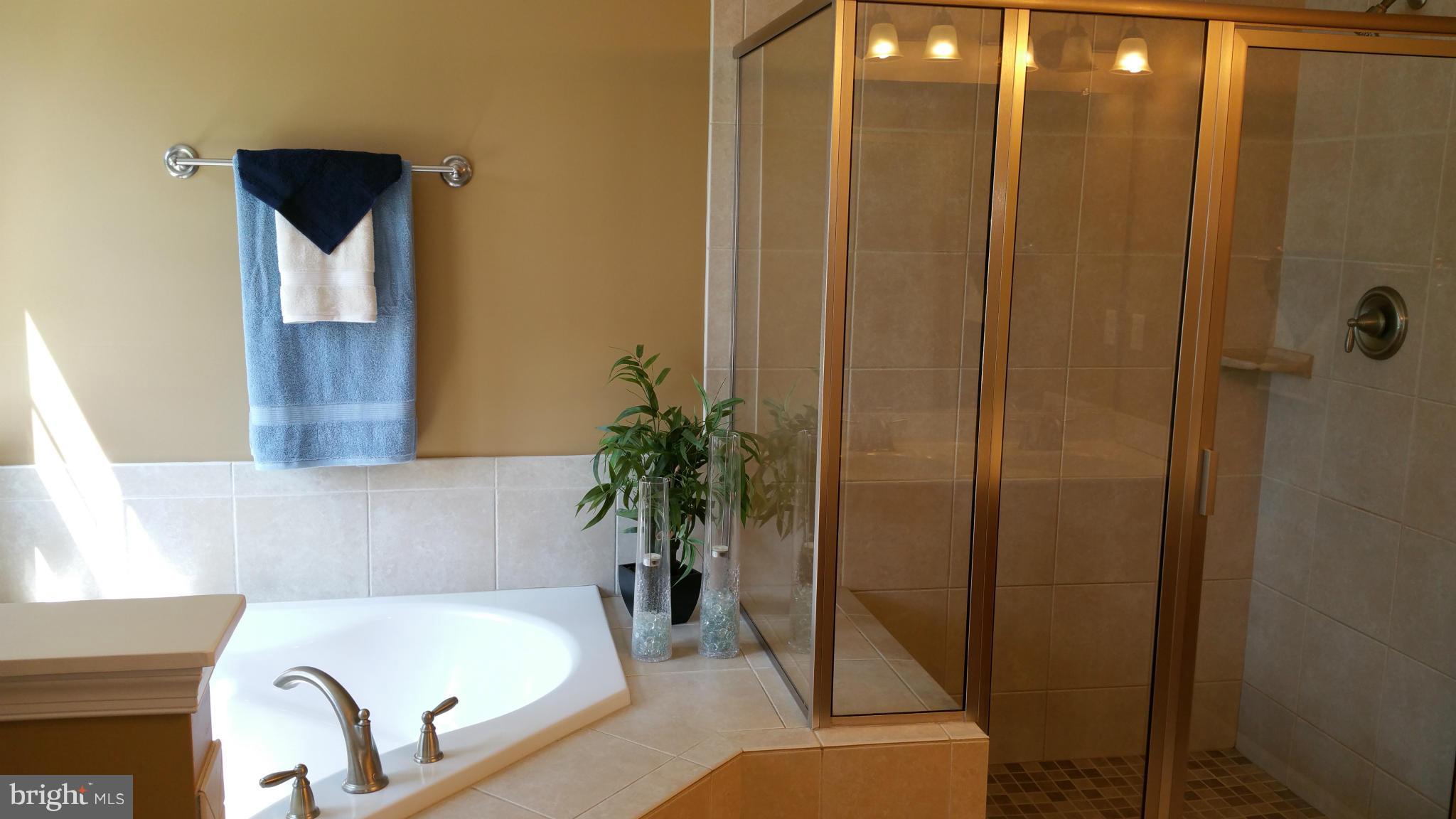 319 Riverside Drive Pasadena, MD 21122 - Photo 13 of 30 Bath (Master)