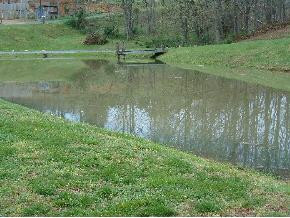 252 Liberty Hill Road Chuckey, TN 37641 - Photo 3 of 3 Photo 3