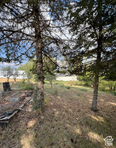 108 South Road Montpelier, ID 83254 - Photo 34 of 36 View of yard