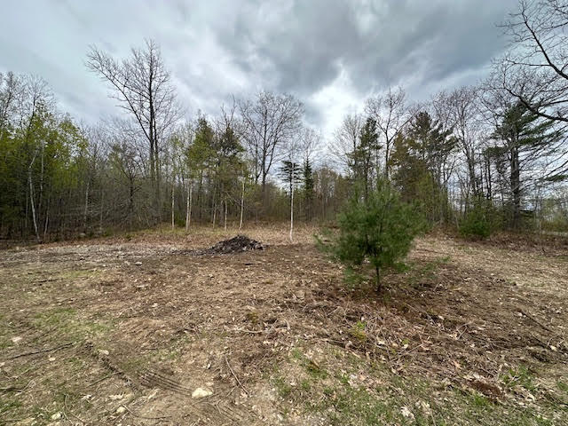 14-01 Crie Hill Road Liberty, ME 04949 - Photo 7 of 14