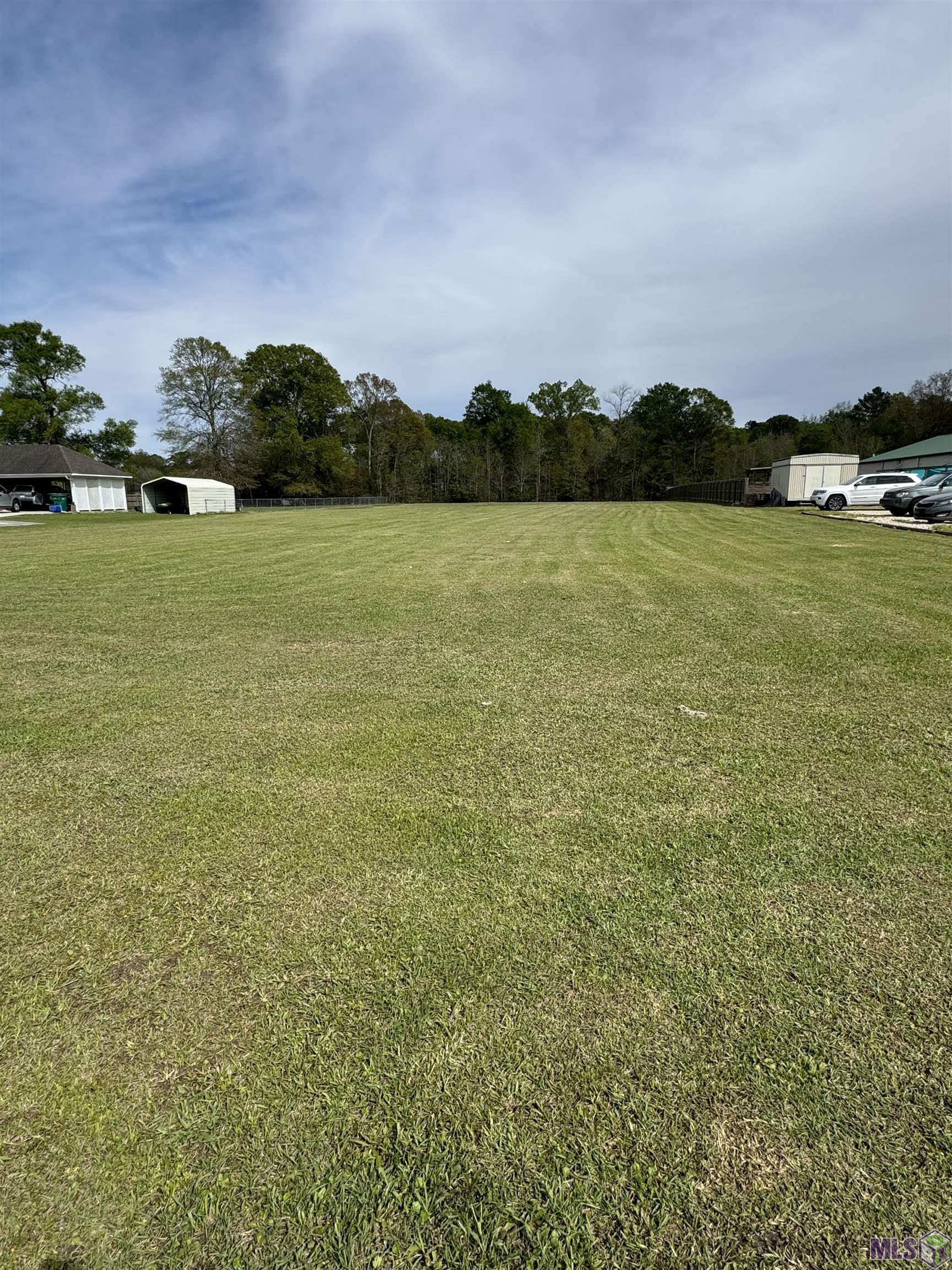 31316 North Corbin Road Walker, LA 70785 - Photo 5 of 6