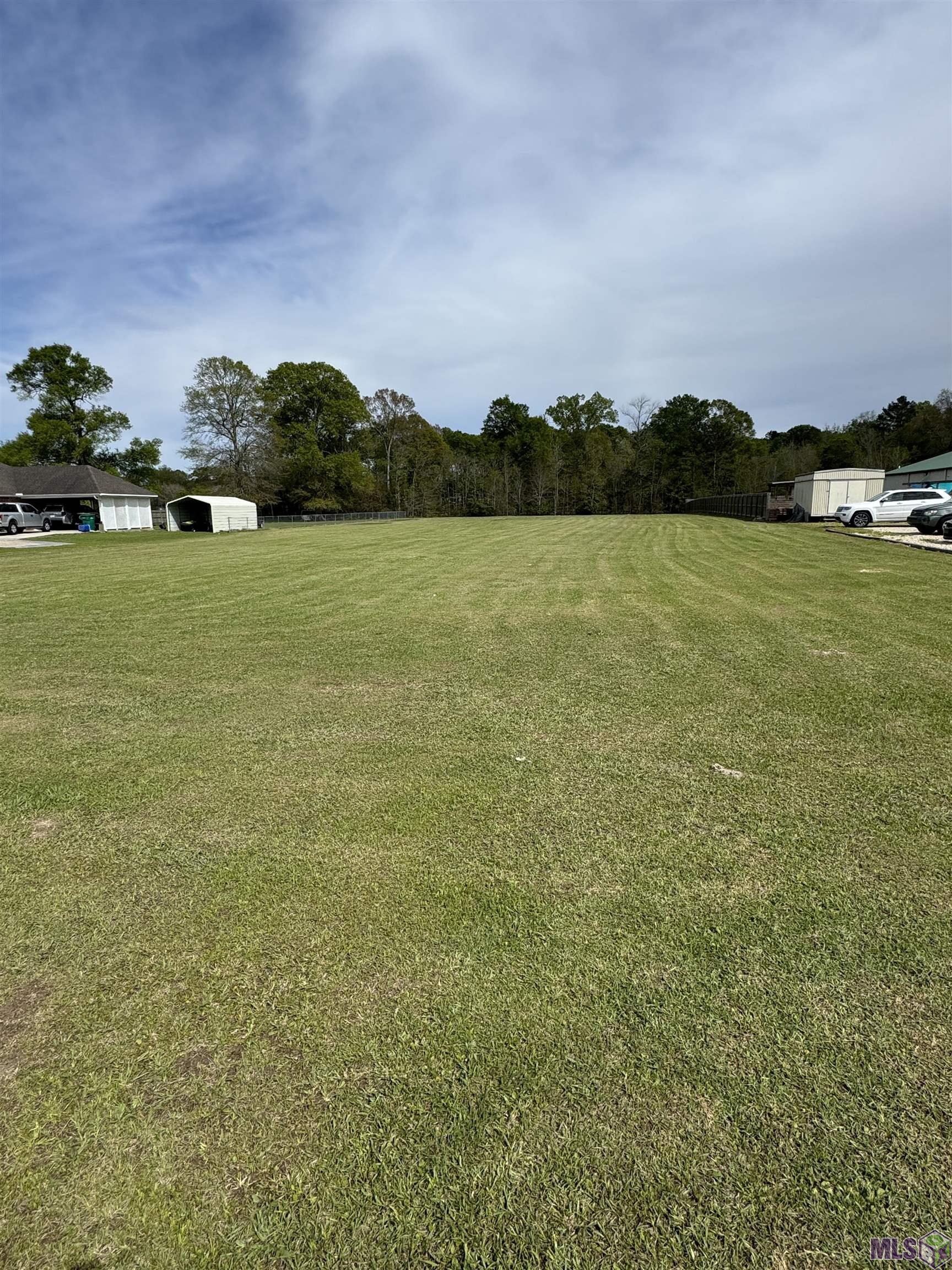 31316 North Corbin Road Walker, LA 70785 - Photo 6 of 6