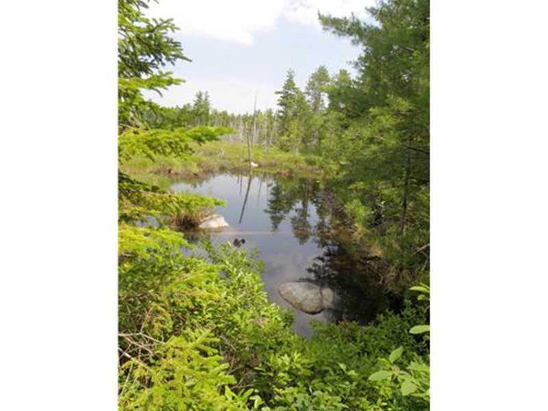 0 Southwest Brook Road Beddington, ME 04622 - Photo 7 of 16 Land/Lot. the beaver flowage-...
