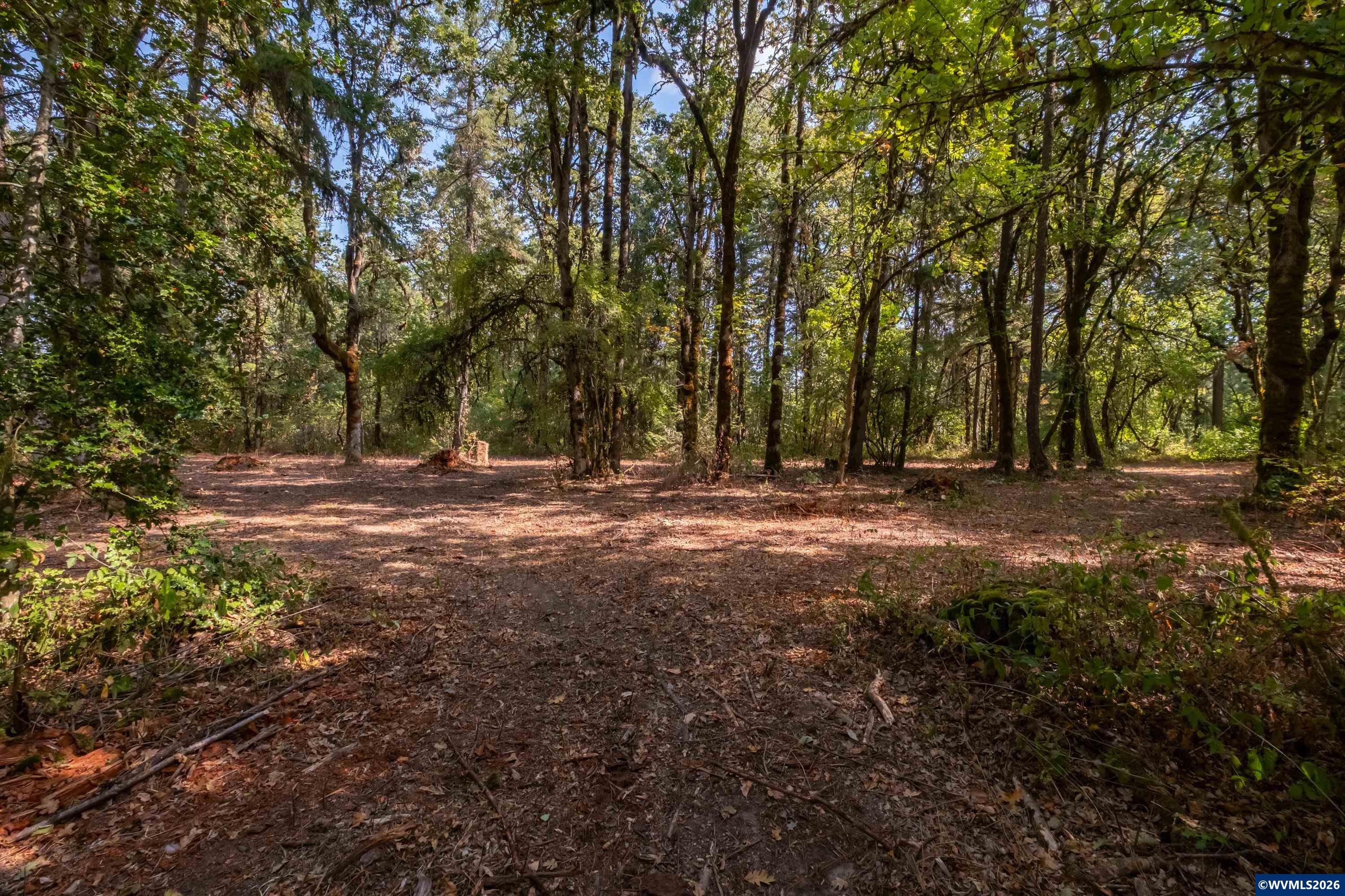Pp2020-49 Lot#2 North Pp2020-49 Road Albany, OR 97321 - Photo 12 of 36