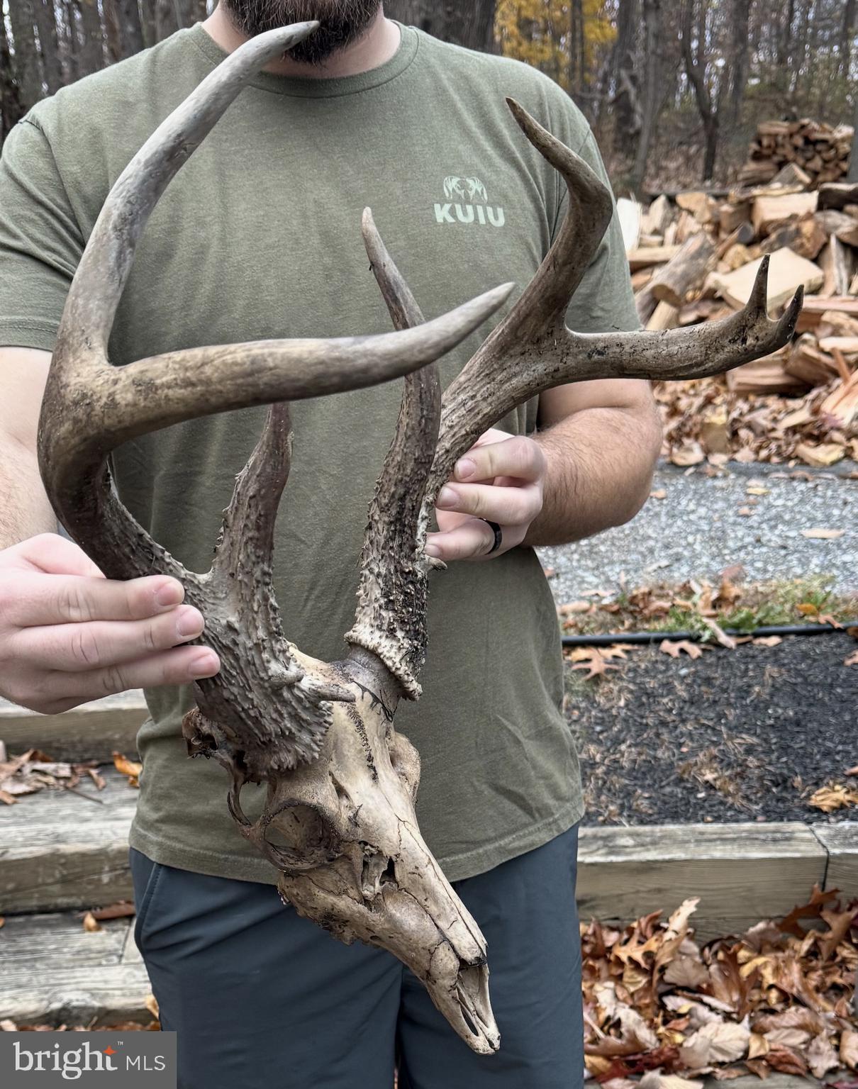 7 Muddy Hole Road Tyaskin, MD 21865 - Photo 11 of 96