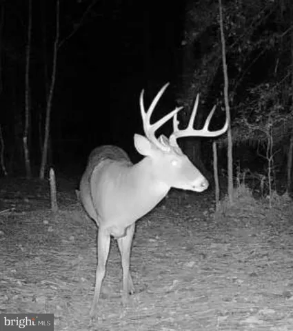 a view of house with trees in the background